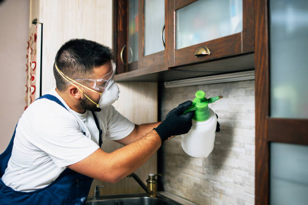 Best Residential Pest Control  in Orient, NY