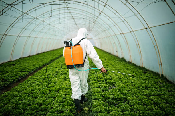 Best Ant Control Services  in Orient, NY