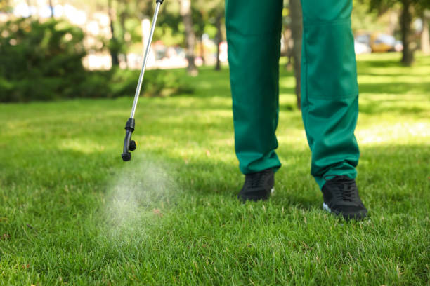 Wasp Removal Services in Orient, NY