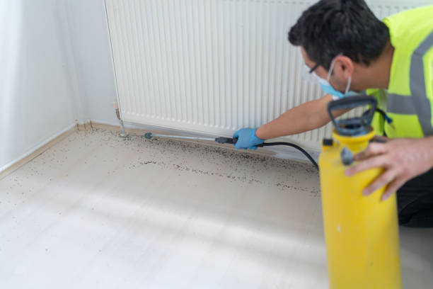 Professional Pest Control in Orient, NY