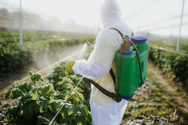 Best Pest Removal Services  in Orient, NY